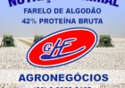 Exportações parciais de algodão já superam toda a safra anterior e batem recorde em maio