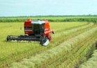 Lagoa da Confusão será palco de encontro estratégico para o fortalecimento da produção de arroz e grãos
