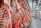 Carne bovina: Brasil exportou 1,36 milhão de toneladas entre jan-maio/26, volume recorde para o período