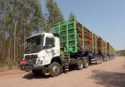 Hexatrens da Suzano são autorizados a circular em rodovias de MS