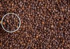 Armazenagem inadequada pode comprometer aroma e qualidade do café