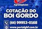 Boi gordo: poucos negócios não impedem novas altas na arroba