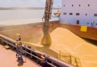Exportações do agro crescem 1,9porcento em setembro