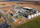 Preço do etanol segue em alta com chuvas e redução da oferta nas usinas, aponta Cepea