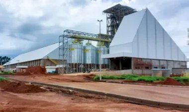 Comigo planeja usina de biodiesel em Goiás