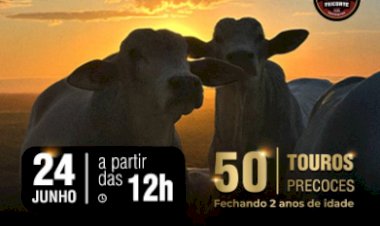 LEILÃO CV NELORE