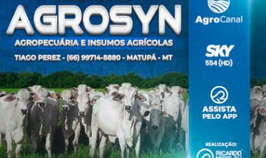 LEILÃO VIRTUAL AGROSYN