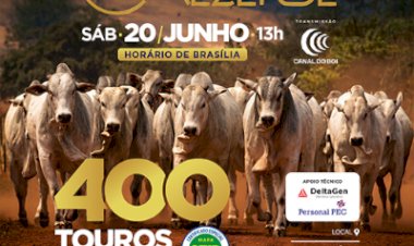 LEILÃO GRUPO REZENDE