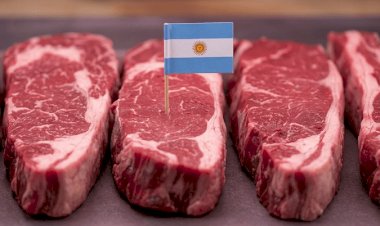 Carne bovina da Argentina supera em US$ 1.000 o preço obtido pelo Brasil no exterior