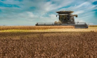 Processamento de soja no Brasil deve crescer 3,8porcento e alcançar 66 milhões de toneladas em 2027