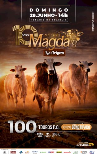 LEILÃO NELORE MAGDA - NA ORIGEM