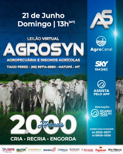 LEILÃO VIRTUAL AGROSYN
