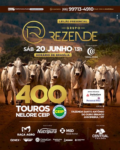 LEILÃO GRUPO REZENDE