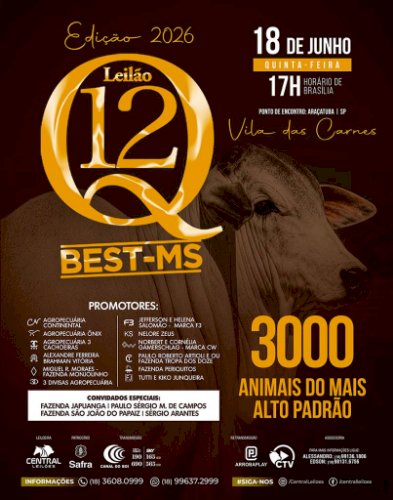 LEILÃO Q12 BEST-MS
