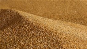 Preço do milho cai 3,82porcento em Mato Grosso em outubro