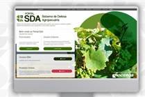Vacinação contra brucelose no RS: Seapi digitaliza registro em sistema oficial