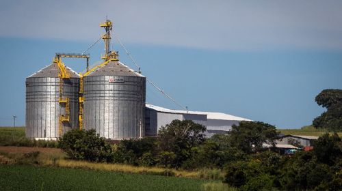 Faturamento das cooperativas do Paraná supera R$ 202 bilhões em 2023