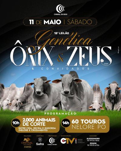 15º LEILÃO GENÉTICA ONIX & ZEUS & CONVIDADOS - CORTE