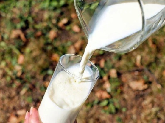 Conseleite/PR: projeção de alta de 15,50% no valor de referência do leite entregue em junho