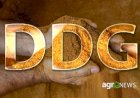 DDGS: Proteína do milho revoluciona nutrição animal no Brasil