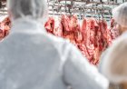 MT registra recorde nas exportações de carne bovina