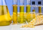 Coprodutos do etanol de milho ganham espaço na nutrição animal