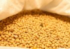 Valor agregado: soja mira novos mercados