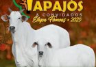 7º LEILÃO FAZENDA TAPAJÓS & CONVIDADOS - ETAPA FÊMEAS