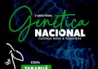 2º LEILÃO VIRTUAL GENÉTICA NACIONAL - FAZENDA NOVA & PARCEIROS - ETAPA TABAPUÃ
