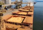 Exportações de soja devem alcançar 7 milhões de toneladas em outubro, aponta Anec