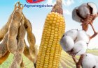Cotações Agropecuárias