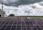 MS terá três megausinas de energia solar com investimento de R$ 5,12 bilhões