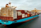 Exportações de pescados ganha impulso com novo convênio firmado entre ApexBrasil e Abipesca