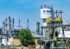 Basf adquire empresa de controle biológico de pragas AgBiTech