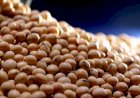 Farelo e óleo de soja sobem com grão em Chicago nesta semana