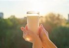 A maratona da qualidade por trás de um copo de leite: estreia o documentário Super Milk