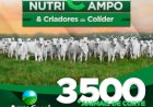 18º LEILÃO AGROCAMPO NUTRICAMPO E CRIADORES DE COLÍDER