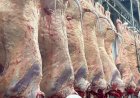 Programa Carne Angus Certificada realiza inédito abate na Bahia