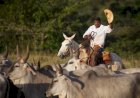 Produtor rural terá que trocar o chapéu pelo capacete? Governo esclarece