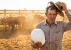 Nova polêmica da NR 31 ameaça o uso do chapéu e revolta o campo