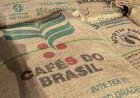 Café recua diante de estimativas de safra maior