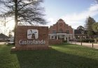 Castrolanda anuncia R$ 500 milhões para indústria de leite e expansão no Tocantins
