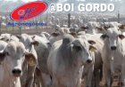 Cotações do boi gordo – 19/2/26