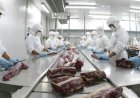 Exportações brasileiras de carne bovina explodem na parcial de fev/26