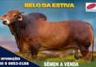 Brasil leva genética bovina e tecnologia agrícola à Índia