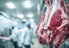 Carne bovina: Austrália já projeta concorrência do Brasil no Japão e Coreia do Sul