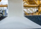 Rússia suspende exportações e menor oferta de fertilizantes pressiona o Brasil