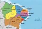 Cadeia leiteira do Nordeste ganha força com investimentos e disputa espaço com gigantes nacionais