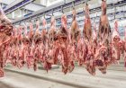 Volume exportado de carne bovina cresce quase 20% no 1º trimestre e impulsiona alta de preços