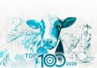 Top 100: entre os maiores, produção de leite chega a 1,29 bilhão de litros em 2025